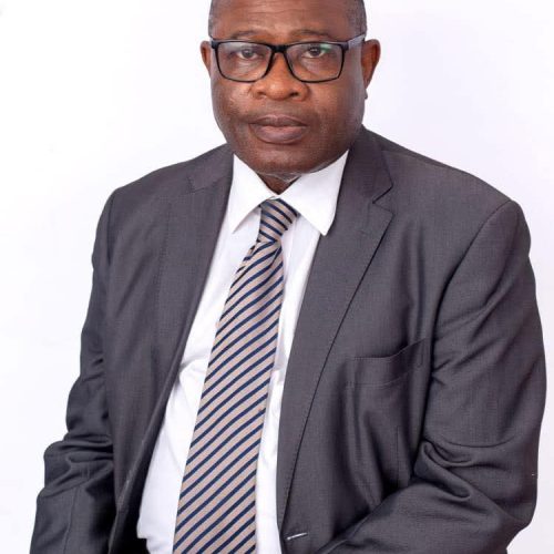 MEET SOLUDO’S COMMISSIONER NOMINEE FOR PETROLEUM AND SOLID MINERALS