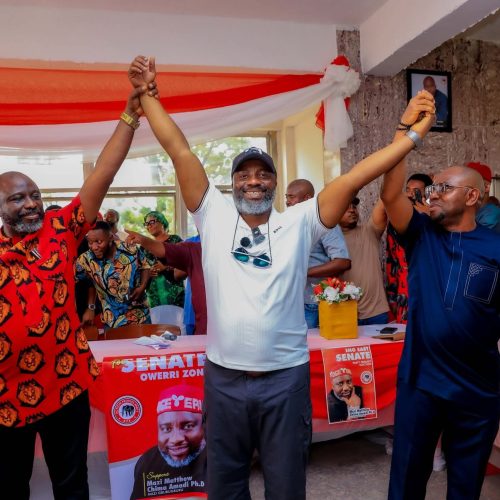 CHIMA AMADI EMERGES CONSENSUS CANDIDATE OF APP  FOR IMO EAST SENATORIAL DISTRICT