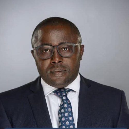 BRIEF PROFILE OF SOLUDO’S COMMISSIONER FOR BUDGET AND ECONOMIC PLANNING NOMINEE: MR. CHUKWUKADIBIA OKOYE