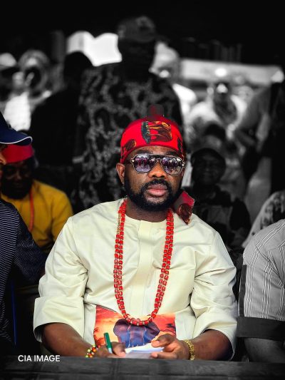 IKENGA IMO:THE FATE OF A LAWMAKER